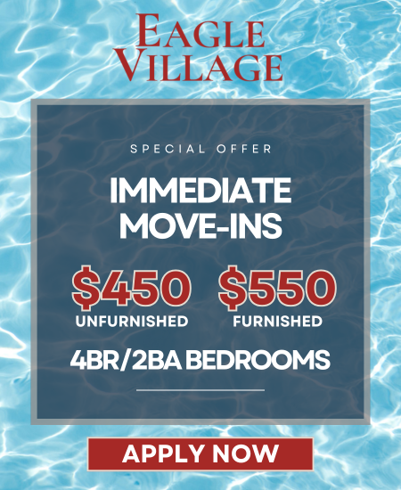 Promotional Banner